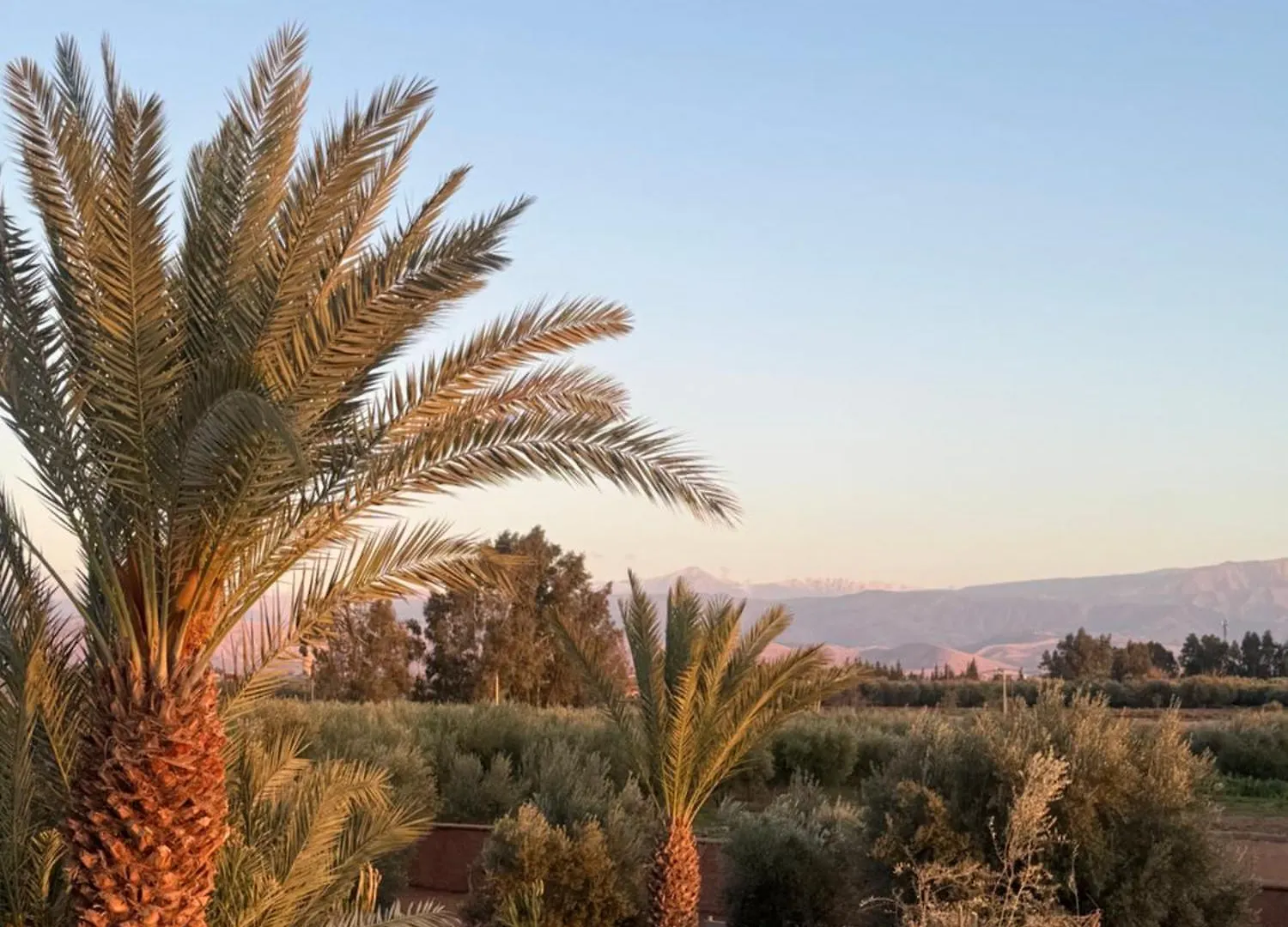 Villa Marrakech Paradis Beldi Marrakesh 0*,  Morocco