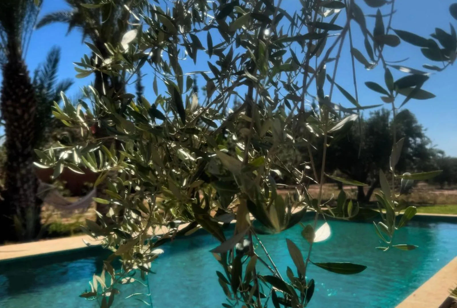 Villa Marrakech Paradis Beldi Marrakesh